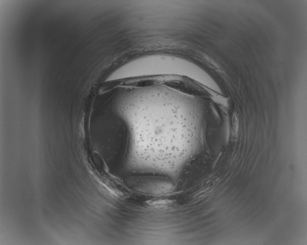 X0000071900452200608041347