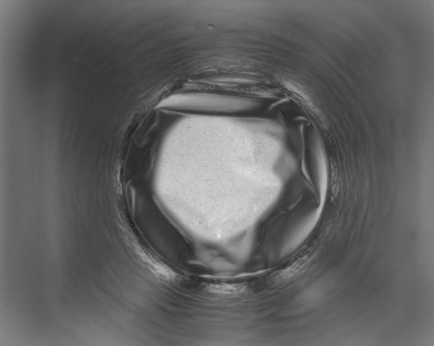 X0000071900453200608041347