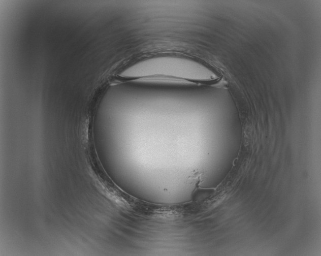 X0000071900454200608041347