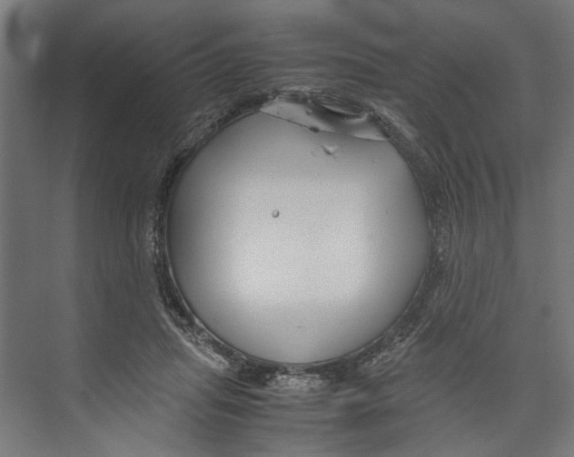 X0000071900455200608041347