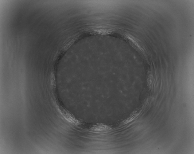 X0000071900459200608041347