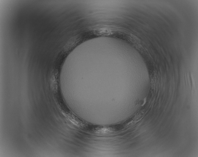 X0000071900460200608041347