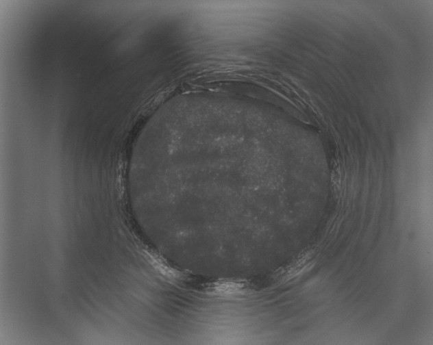 X0000071900462200608041347