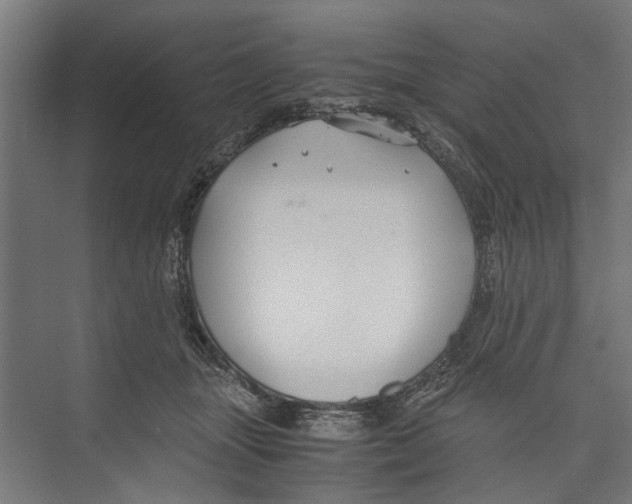 X0000071900463200608041347