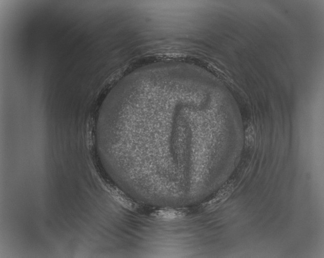 X0000071900464200608041347