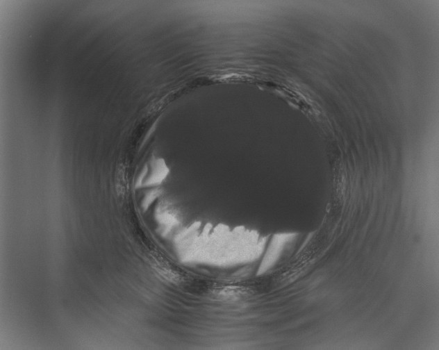 X0000071900467200608041347