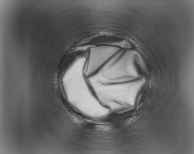 X0000071900469200608041347