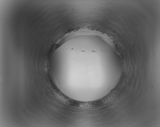 X0000071900470200608041347