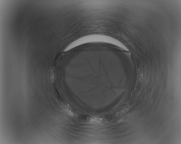 X0000071900471200608041347