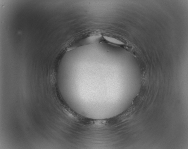 X0000071900474200608041347