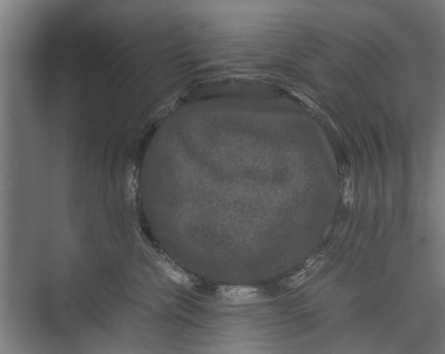 X0000071900476200608041347