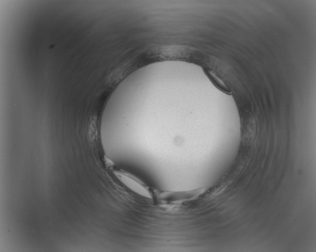 X0000071900478200608041347