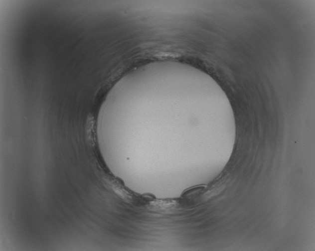 X0000071900480200608041348