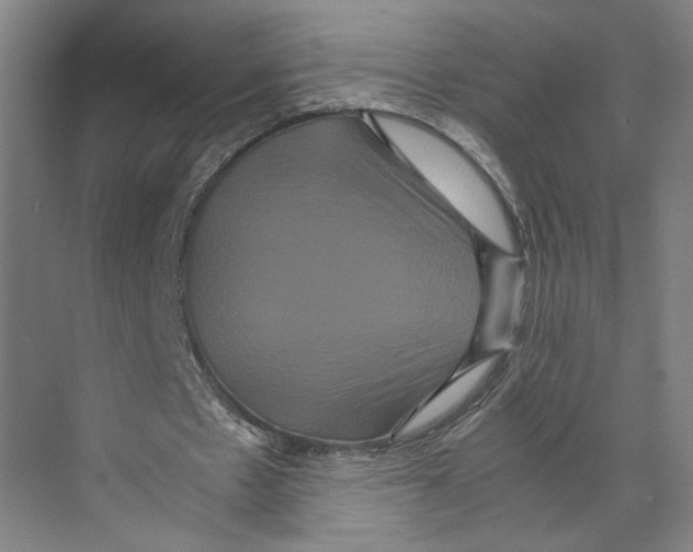 X0000071900481200608041347