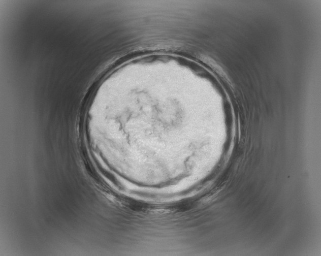 X0000071900483200608041347