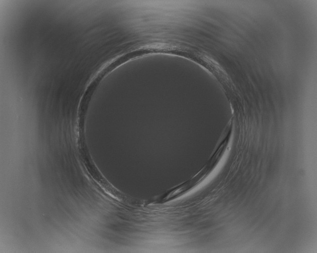 X0000071900484200608041347