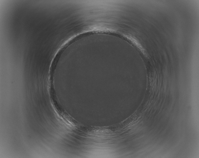 X0000071900488200608041347