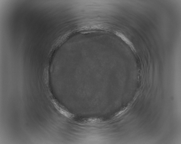 X0000071900493200608041346