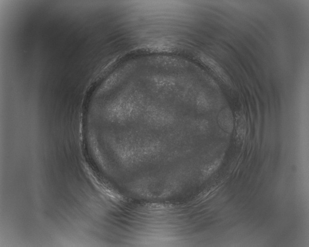 X0000071900494200608041346