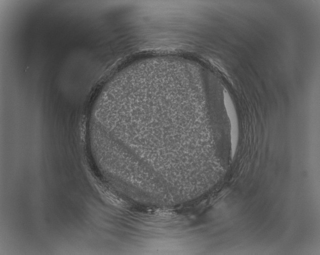 X0000071900495200608041346