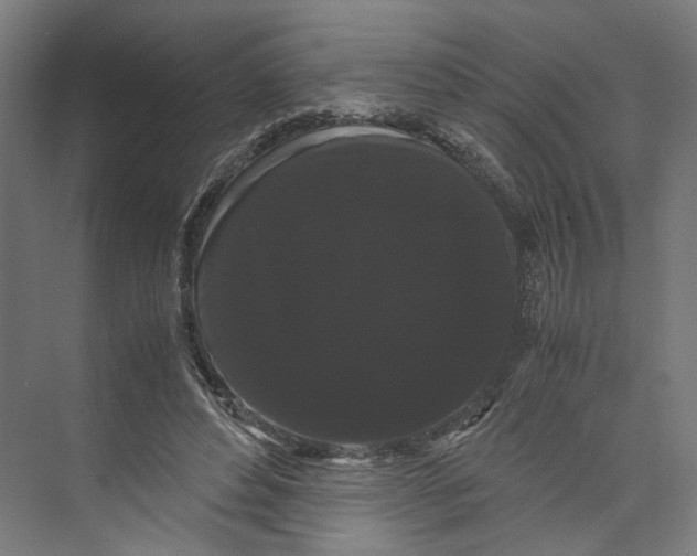 X0000071900496200608041346