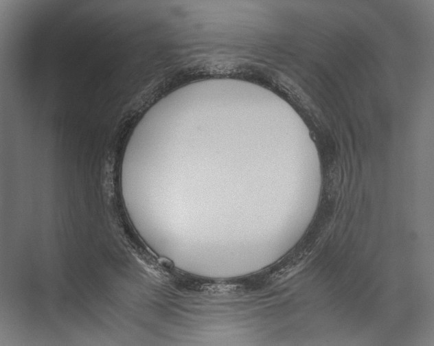 X0000071900497200608041346