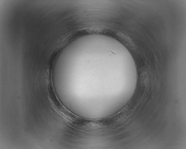 X0000071900498200608041346