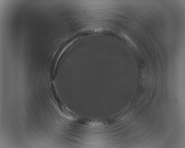 X0000071900500200608041346