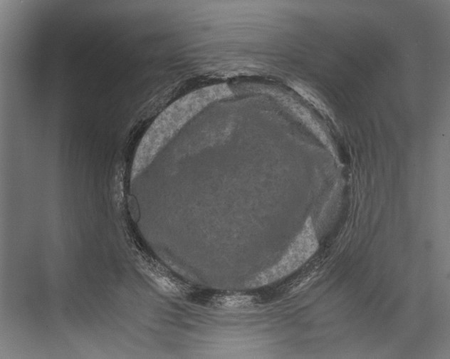 X0000071900501200608041346