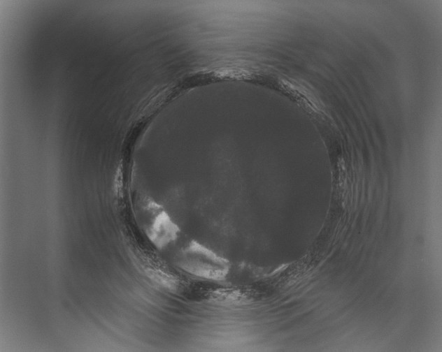 X0000071900502200608041346