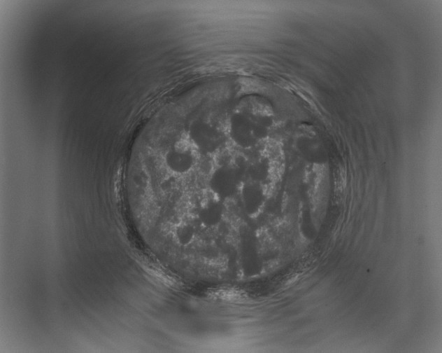 X0000071900503200608041346