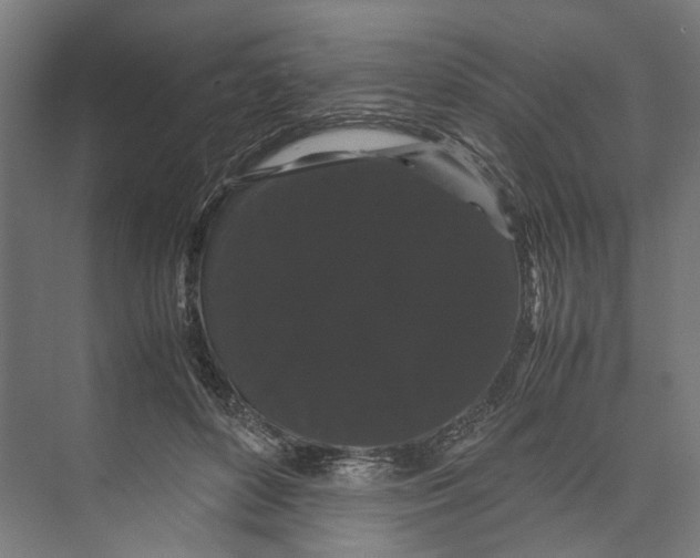 X0000071900504200608041346