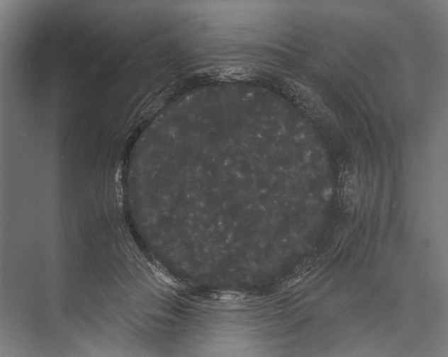 X0000071900506200608041346