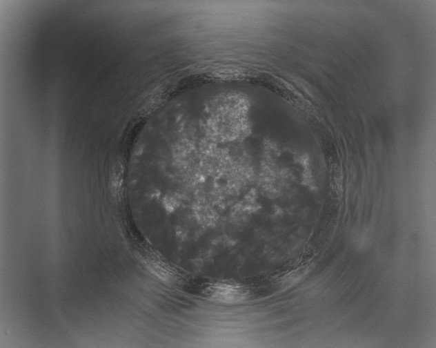 X0000071900507200608041346