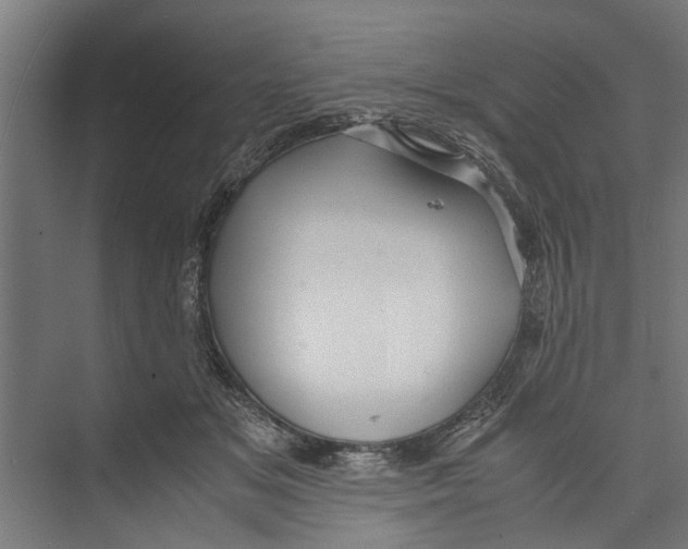 X0000071900509200608041346