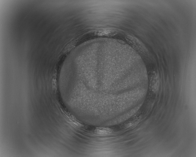 X0000071900510200608041346