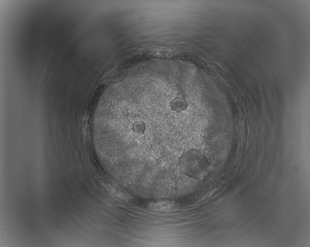 X0000071900511200608041346