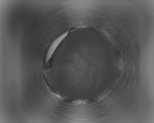 X0000071900512200608041346