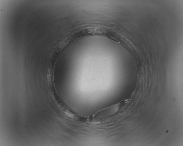 X0000071900513200608041346