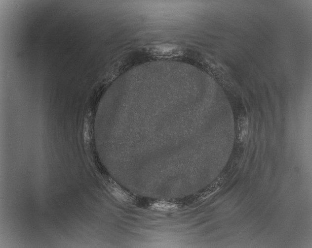 X0000071900515200608041346