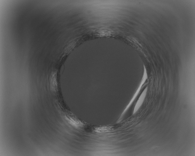 X0000071900516200608041346