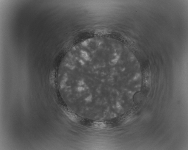 X0000071900519200608041346