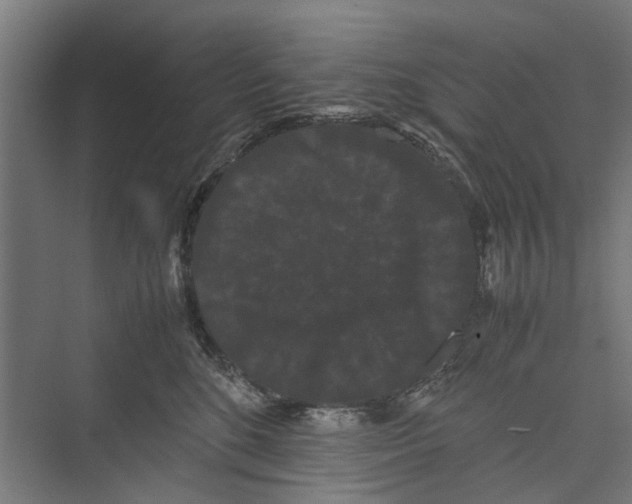 X0000071900520200608041346