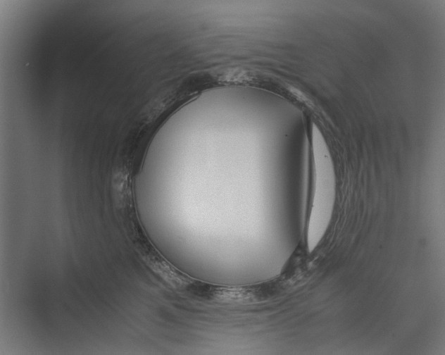 X0000071900521200608041346