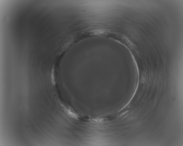 X0000071900524200608041346