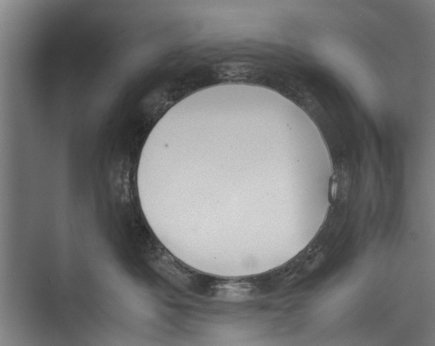 X0000071900525200608041346