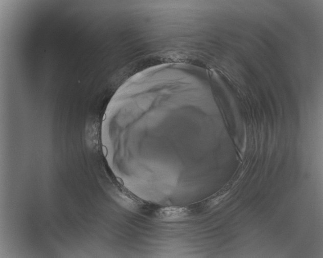 X0000071900526200608041346