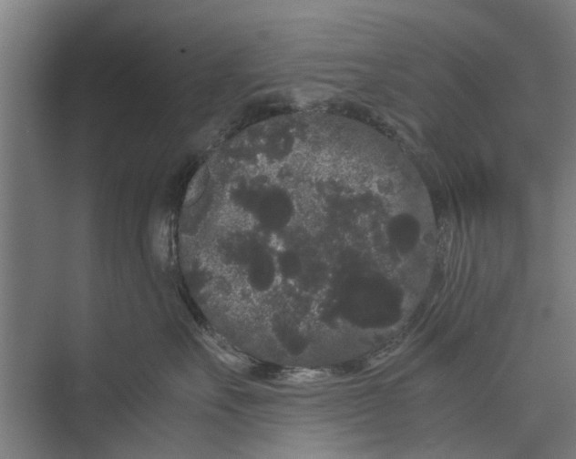 X0000071900527200608041346