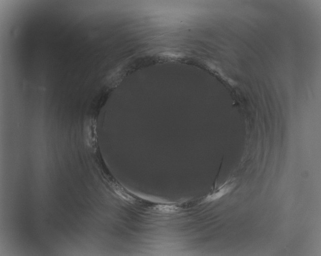 X0000071900528200608041346