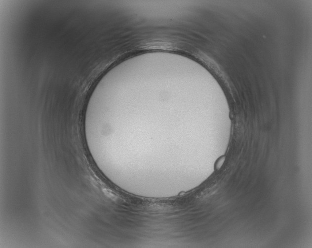 X0000071900529200608041345